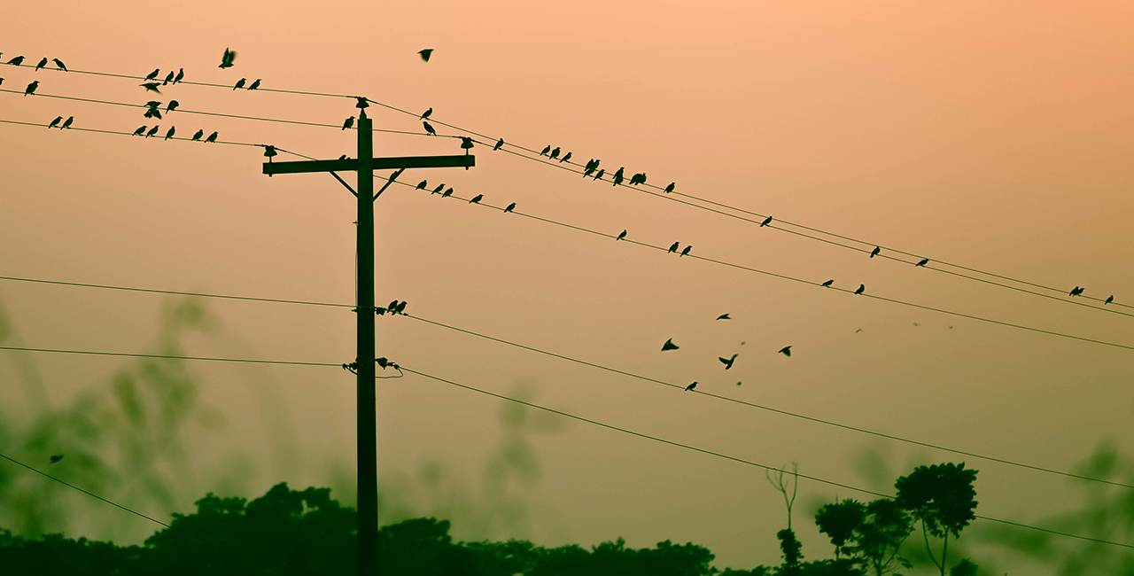 The Effects of Early-Bird Habits on Security Operations